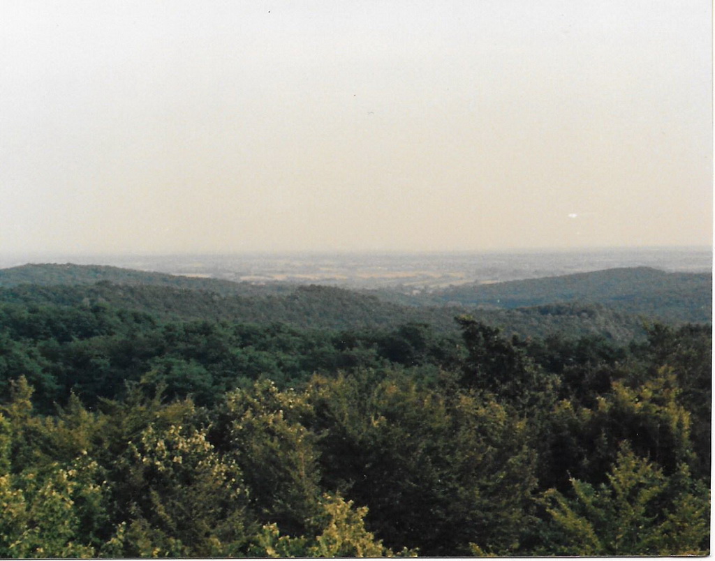 Cover MOSLAVAČKA GORA